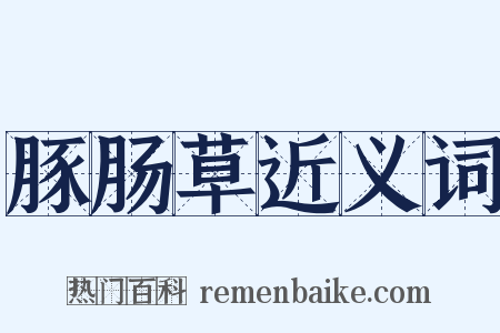 豚肠草近义词是什么意思的图片